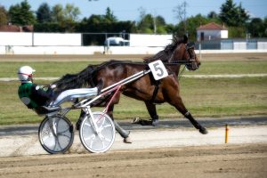 Trotting,Races,At,The,Hippodrome-horse,During,Harness,Race